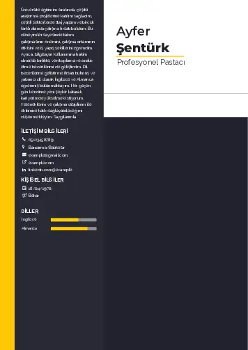 Pastacı Cv Örnekleri cv indir